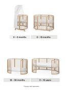 Bassinet, Crib, & Toddler Bed (canopy not included)