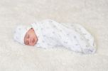 Egyptian Cotton Jungle Print Swaddle Blanket by Under the Nile